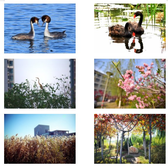 1．天津站 师范大学公交站→乘坐31